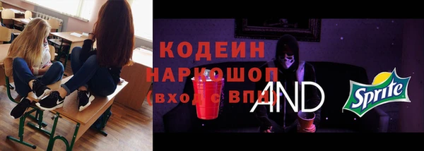 мяу мяу мука Гусь-Хрустальный