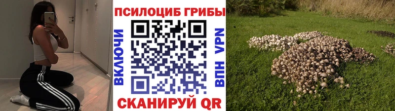 хочу   Геленджик  Псилоцибиновые грибы мухоморы 